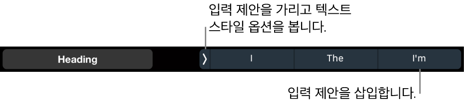 텍스트 스타일, 입력 제안 가리기 및 입력 제안 삽입을 선택하기 위한 제어기가 있는 MacBook Pro의 Touch Bar.