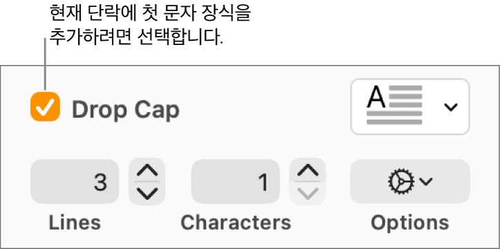 ‘단락의 첫 문자 장식’ 체크상자가 선택되어 있고 그 오른쪽에 팝업 메뉴가 나타남. 그 아래에는 줄 높이, 문자 수 및 기타 옵션을 설정하는 제어기가 있음.