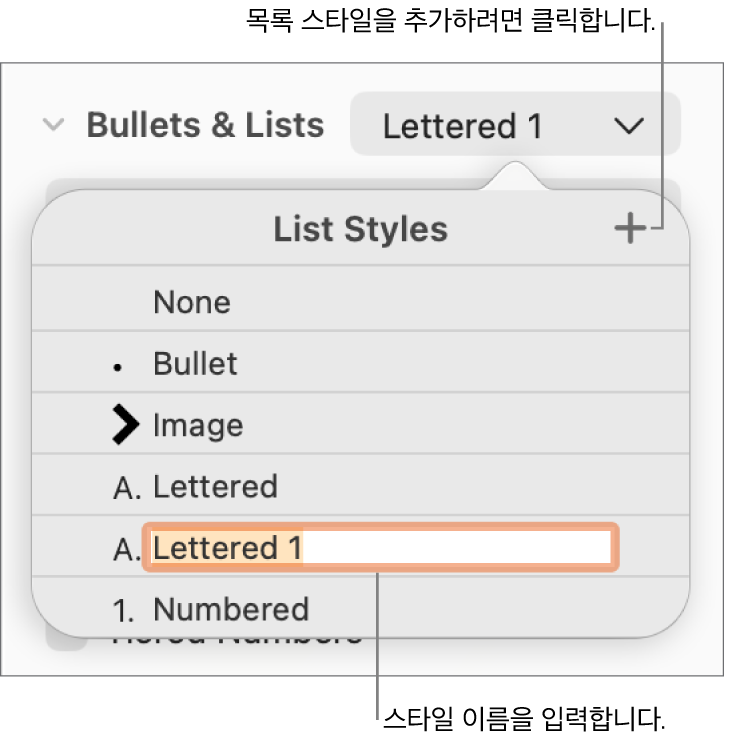 오른쪽 상단 모서리에 추가 버튼이 있는 목록 스타일 팝업 메뉴와 텍스트가 선택된 위치 지정자 스타일 이름.