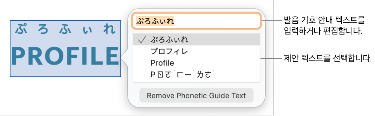 발음 기호 안내는 텍스트 필드 및 제안 텍스트에 대한 설명이 있는 단어에 대해 열립니다.