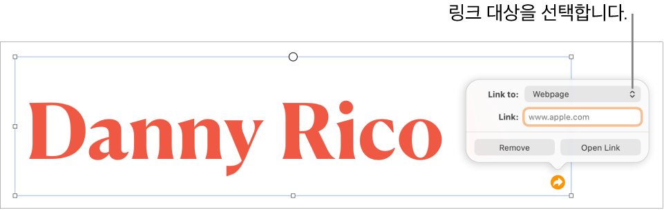 웹 페이지가 선택되어 있고, 하단에 제거 및 링크 열기 버튼이 있는 링크 편집 제어기.