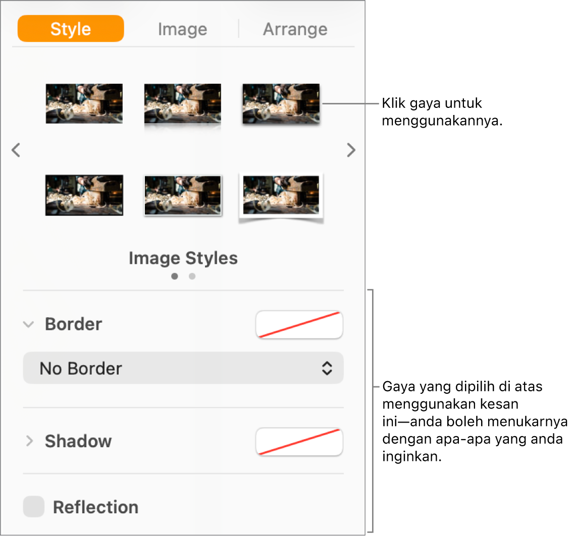 Tab Gaya pada bar sisi Format menunjukkan pilihan gaya objek.