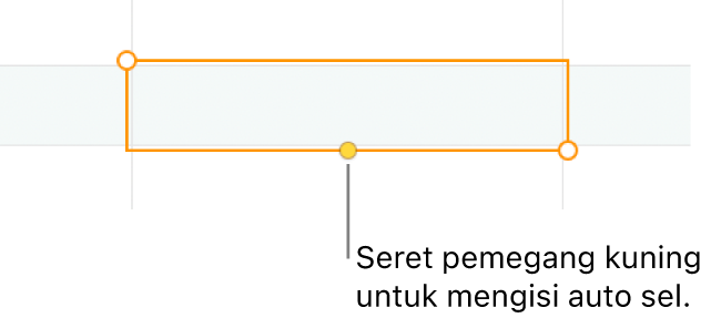 Sel yang dipilih dengan pemegang kuning yang boleh anda seret untuk mengisi auto sel.