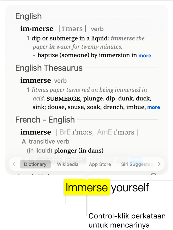 Perenggan dengan perkataan diserlahkan dan tetingkap menunjukkan definisinya dan entri tesaurus. Butang di bahagian bawah tetingkap menyediakan pautan ke kamus, Wikipedia dan tapak web cadangan Siri.