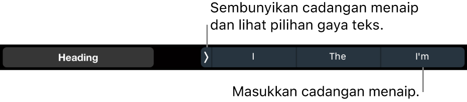 Touch Bar MacBook Pro dengan kawalan untuk memilih gaya teks, menyembunyikan cadangan menaip dan memasukkan cadangan menaip.