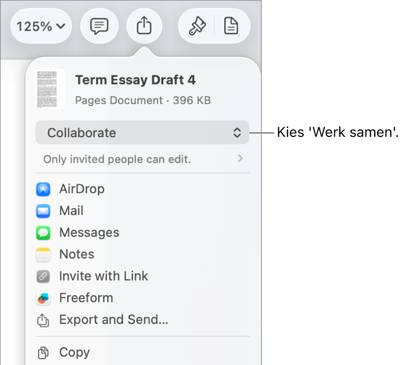 Het Deel-menu waarin bovenin 'Werk samen' is geselecteerd. Eronder staan toegangsinstellingen en bevoegdheden.