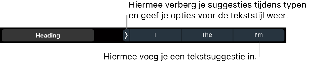 De Touch Bar op een MacBook Pro met regelaars voor het kiezen van een tekststijl, het verbergen van suggesties tijdens het typen en het invoegen van suggesties.