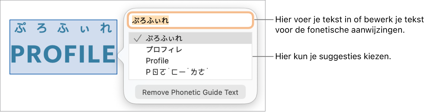 De fonetische aanwijzingen voor een woord, met uitleg bij het tekstveld en de voorgestelde tekst.