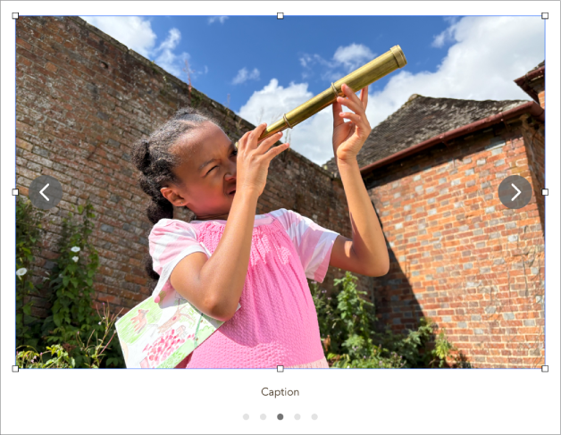 Een afbeeldingengalerie met vijf afbeeldingen, met eronder een bijschrift en navigatiepijlen aan de linker- en rechterkant.