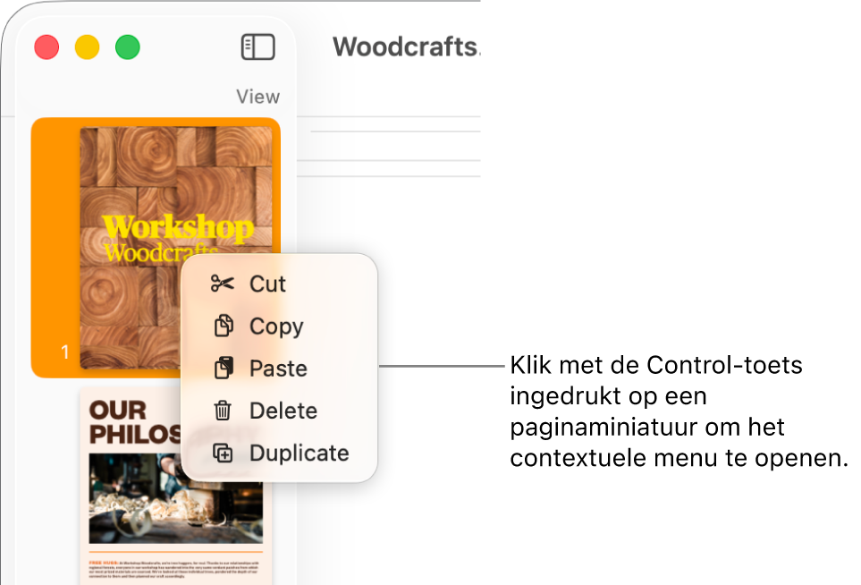 De paginaminiatuurweergave waarin een miniatuur is geselecteerd en het contextuele menu is geopend.