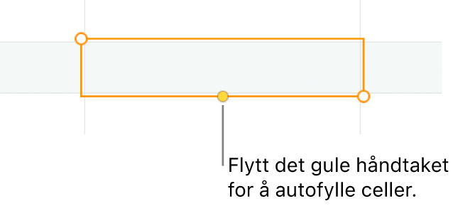 En markert celle med et gult håndtak som du kan dra i for å autoutfylle celler.