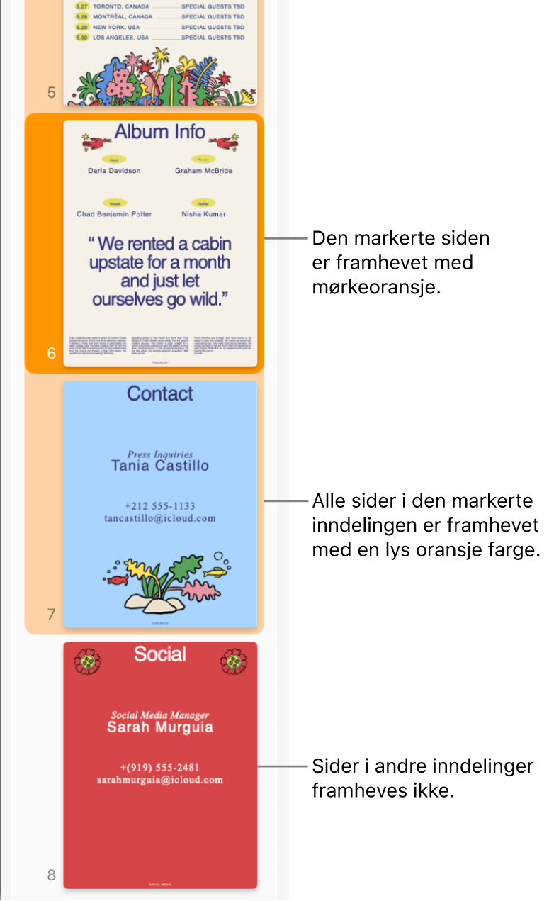 Miniatyrvisning-sidepanelet med den markerte siden uthevet i mørk oransje og alle sider i den markerte inndelingen uthevet i lys oransje.