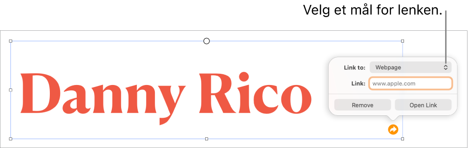 Lenkeredigerer-kontrollene med Nettside markert, og Fjerne lenke- og Åpne lenke-knappene nederst.
