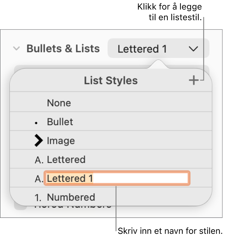 Listestiler-lokalmenyen med en Legg til-knapp øverst i høyre hjørne og et plassholderstilnavn med teksten markert.