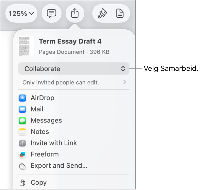 Del-menyen med Samarbeid markert øverst, og tilgangs- og tillatelsesinnstillingene under.