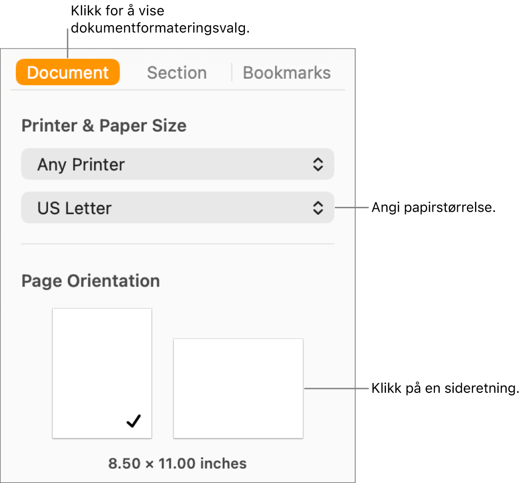 Dokument-sidepanelet med Dokument-fanen øverst i sidepanelet markert. I sidepanelet vises det en lokalmeny for å angi papirstørrelse og knapper for liggende og stående sideretning.