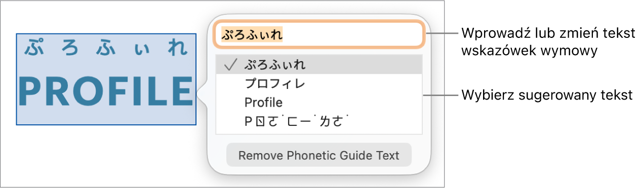 Wskazówki wymowy dla danego wyrazu. Etykiety wskazują pole tekstowe i sugerowany tekst.