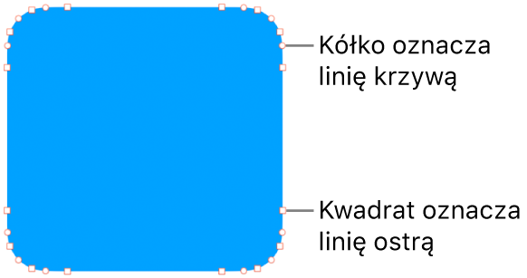 Kształt z edytowalnymi punktami.
