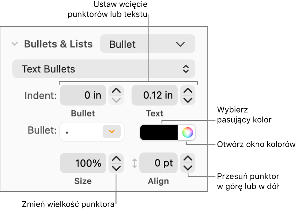 Sekcja Punktory i listy z etykietami wskazującymi narzędzia wcięć punktorów i tekstu, koloru punktora, wielkości punktora oraz wyrównywania.