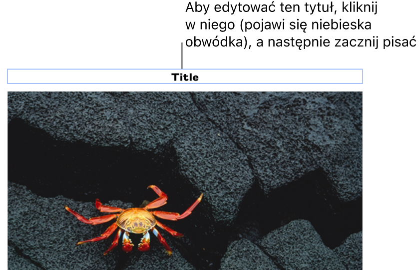 Tytuł zastępczy o treści „Tytuł” widoczny powyżej zdjęcia. Niebieska ramka wokół pola tytułu wskazuje, że jest on zaznaczony.