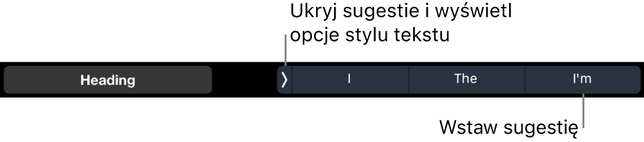 Pasek Touch Bar na MacBooku Pro z narzędziami do wybierania stylu tekstu, ukrywania sugestii pisowni oraz wstawiania sugestii pisowni.