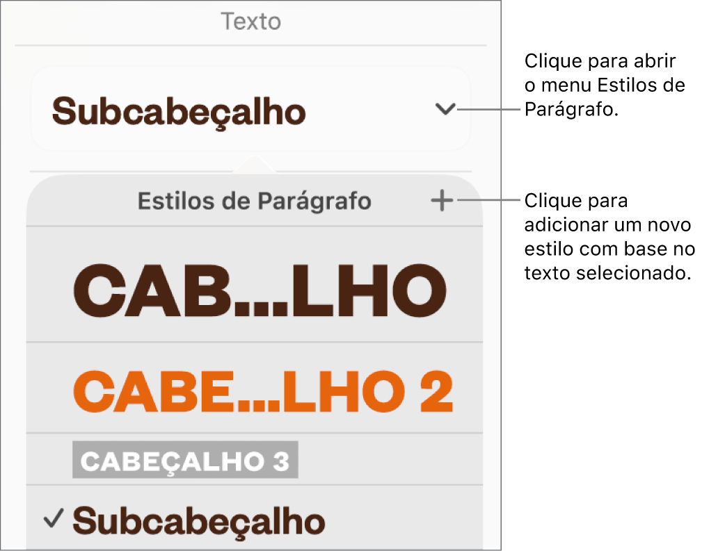 Menu Estilos de Parágrafo, exibindo os controles para adicionar ou alterar um estilo.
