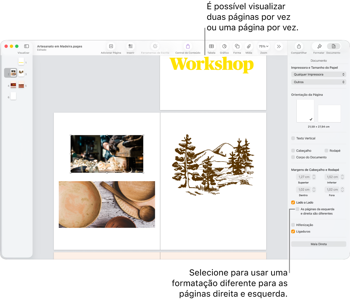 Janela do Pages com miniaturas de páginas e páginas do documento visualizadas como páginas duplas. Na barra lateral Documento à direita, a caixa “As páginas da esquerda e direita são diferentes” está desmarcada.