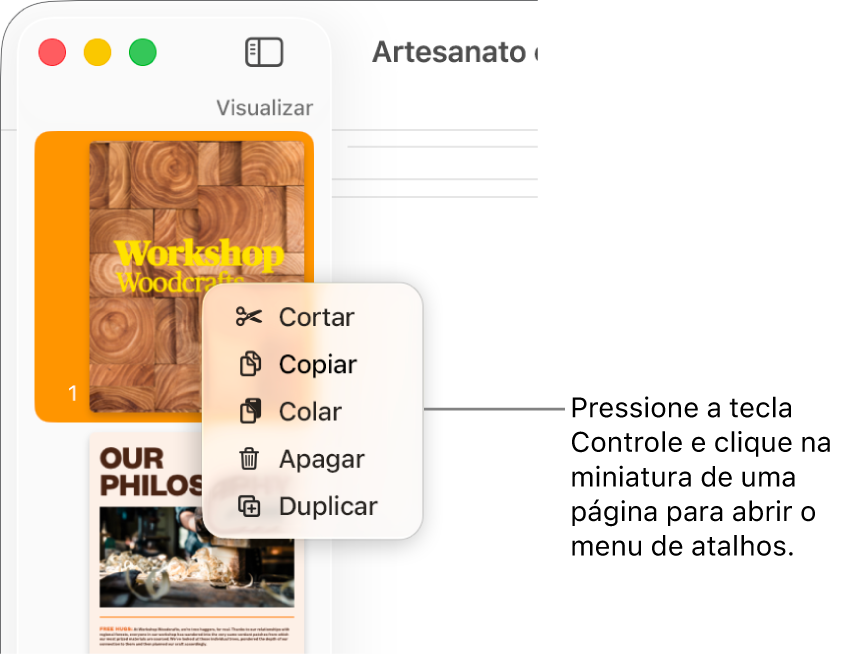 Visualização de Miniaturas de Página, com uma miniatura selecionada e o menu de atalho aberto.