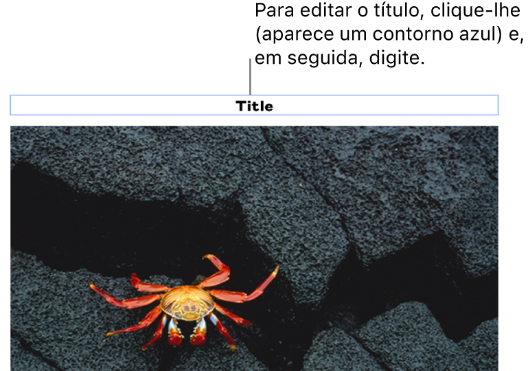 O marcador de posição de título, “Título”, aparece sob a fotografia; um contorno azul em redor do campo de título para mostrar que está selecionado.