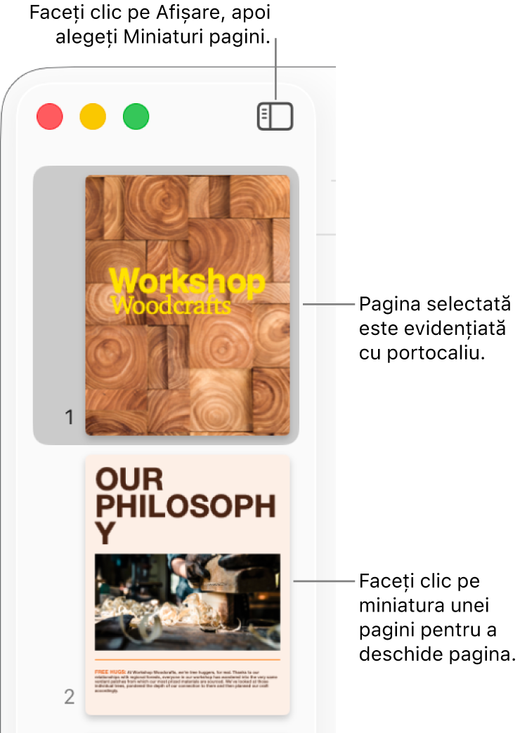 Bara laterală din partea stângă a ferestrei Pages, având deschisă vizualizarea Miniaturi pagini și o pagină selectată evidențiată cu portocaliu închis.