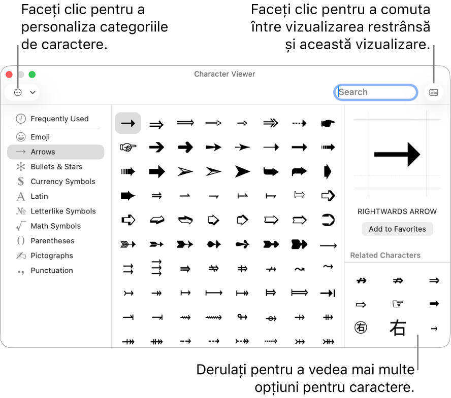 Observator caractere extins, afișând caractere speciale și simboluri, un meniu pentru diferite categorii de simboluri în stânga și un buton în colțul din dreapta sus care vă permite să reveniți la vizualizarea restrânsă.
