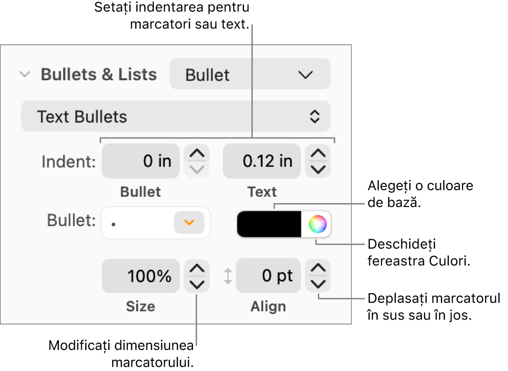 Secțiunea Marcatori/liste cu explicații pentru comenzile de indentare cu marcator și text, culoarea marcatorului, dimensiunea marcatorului și aliniere.