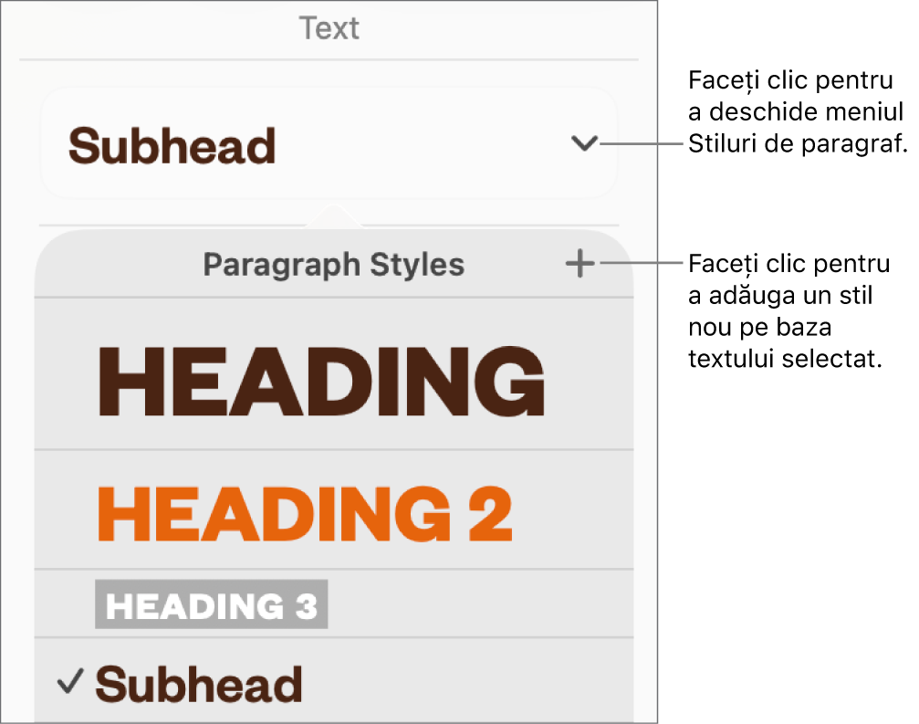 Meniul Stiluri de paragraf afișând comenzi de adăugare sau modificare a unui stil.