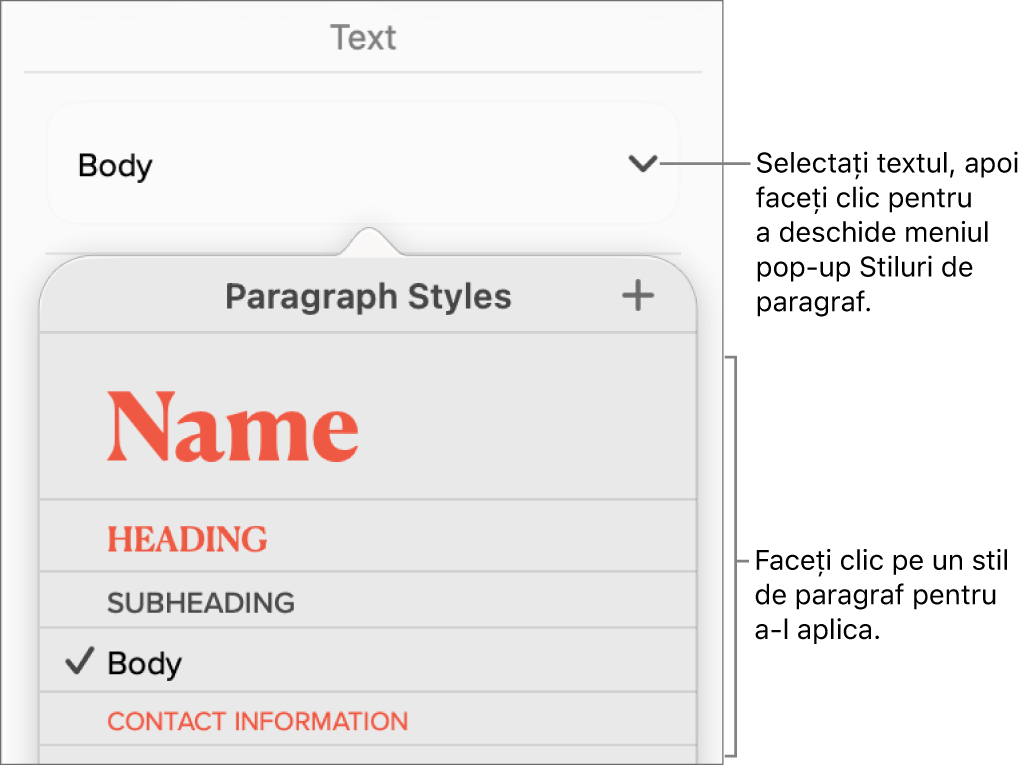 Meniul Stiluri de paragraf.