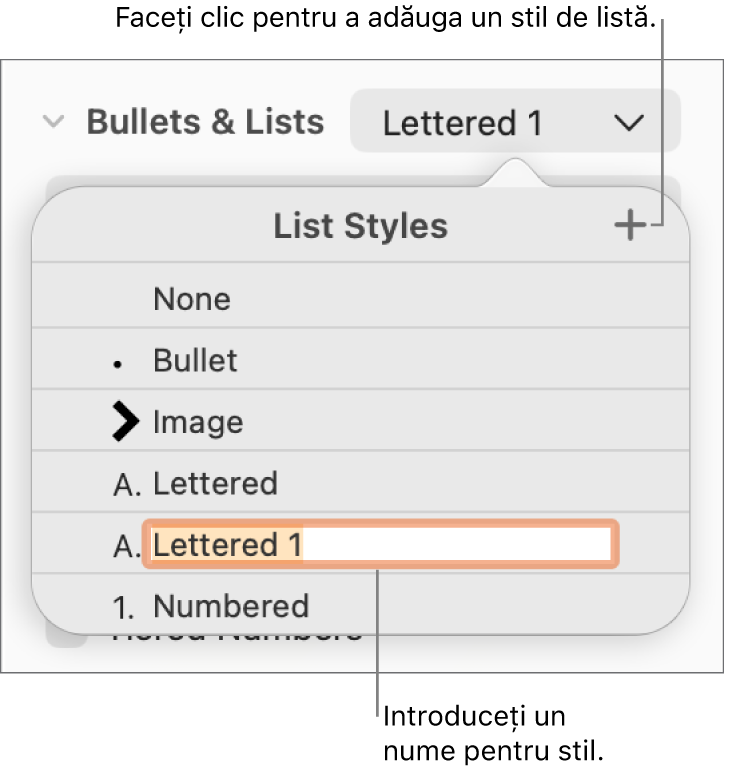 Meniul pop-up Stiluri de listă, cu un buton Adaugă în colțul din dreapta sus și un nume de stil substituent cu textul aferent selectat.