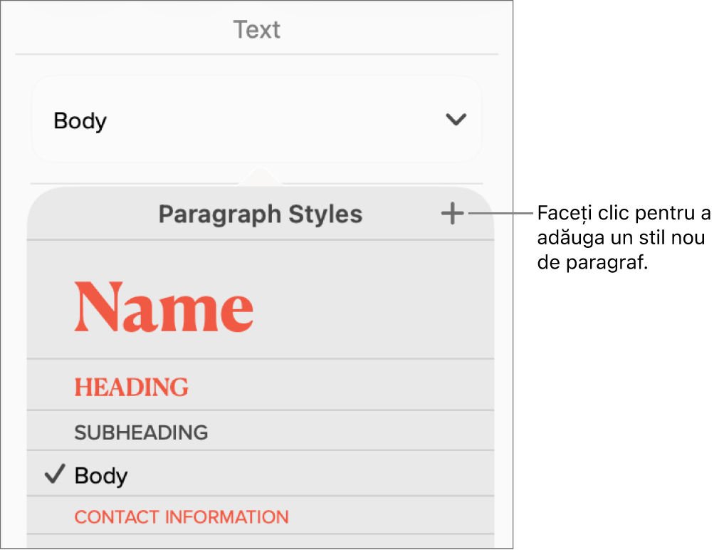 Meniul Stiluri de paragraf cu explicație la butonul Stil nou.