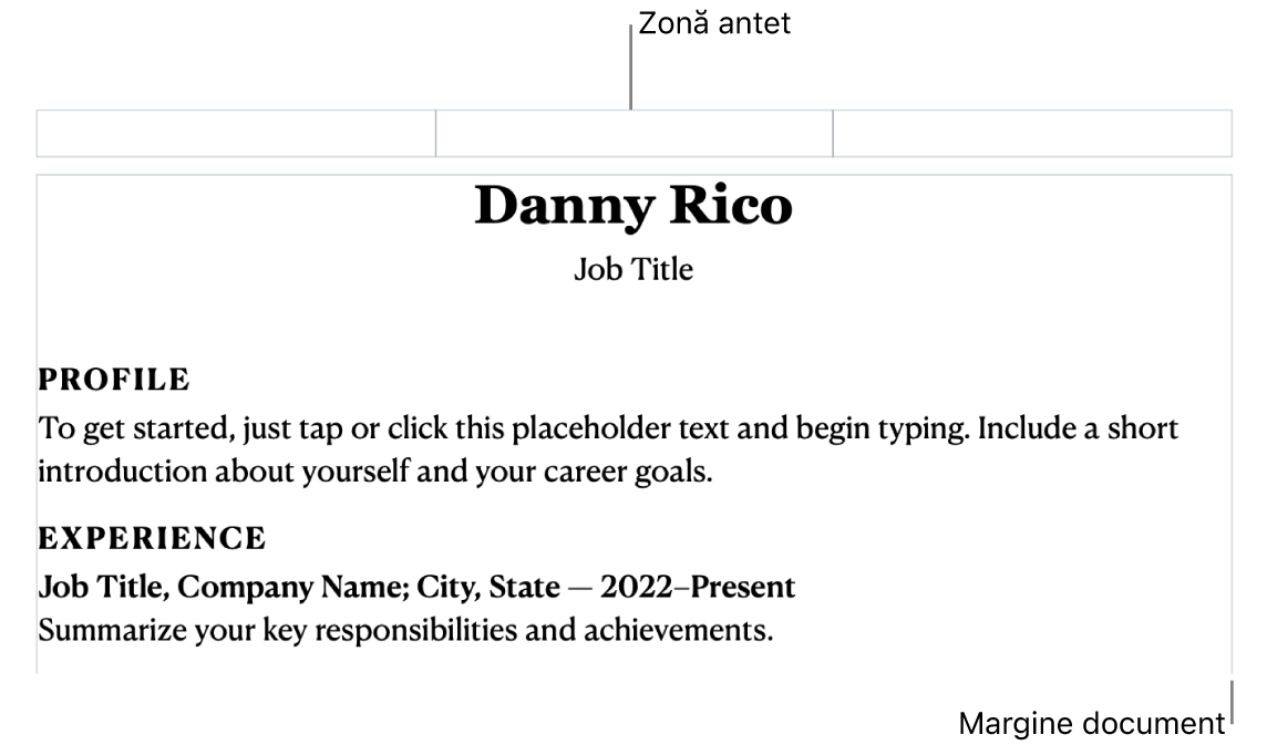 Vizualizare Aranjament afișând zona antetului și marginile documentului.