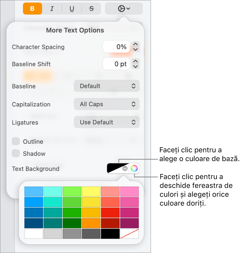 Comenzile pentru alegerea unei culori de fundal pentru text.