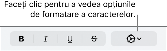 Meniul pop‑up Alte opțiuni de text în dreapta butoanelor Aldin, Cursiv, Subliniat și Tăiat cu o linie.