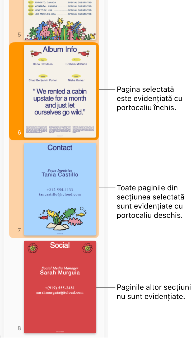 Bara laterală Vizualizare miniaturi, cu pagina selectată evidențiată cu portocaliu închis și toate paginile din secțiunea selectată evidențiate cu portocaliu deschis.