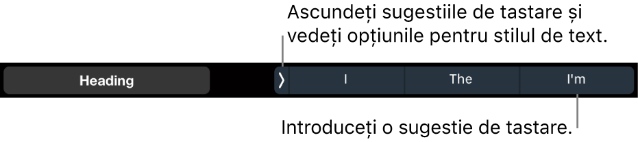 Bara Touch Bar de pe MacBook Pro, cu comenzi pentru alegerea unui stil de text, pentru ascunderea sugestiilor de scriere și pentru inserarea sugestiilor de scriere.