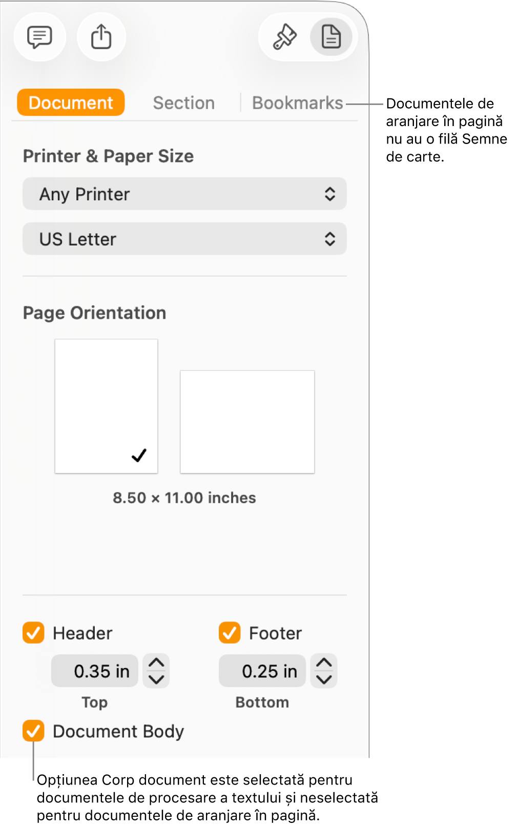 Bara laterală Format cu filele Document, Secțiune și Semne de carte în partea de sus. Fila Document este selectată și o explicație referitoare la fila Semne de carte precizează că documentele de aranjare în pagină nu au o filă Semne de carte. Caseta de validare Corp document este selectată, ceea ce indică și faptul că acesta este un document de procesare a textului.
