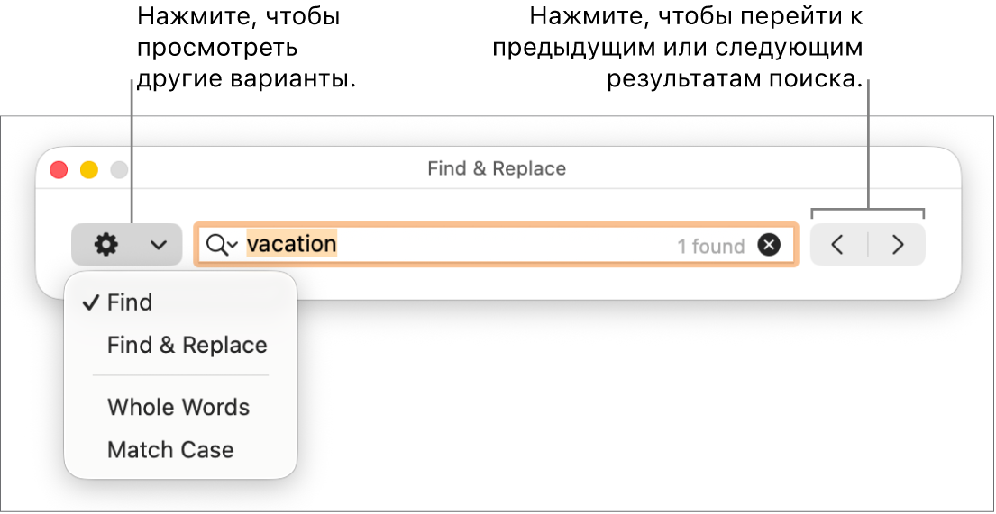В окне «Найти и заменить» открыто всплывающее меню, в котором показаны параметры «Найти», «Найти и заменить», «Целые слова» и «Регистр». Стрелки справа позволяют переходить к предыдущему или следующему результату поиска.