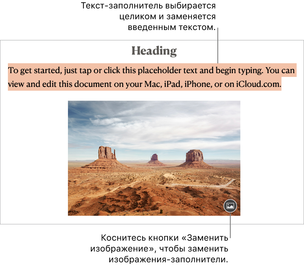 Текст-заполнитель и изображения-заполнители.