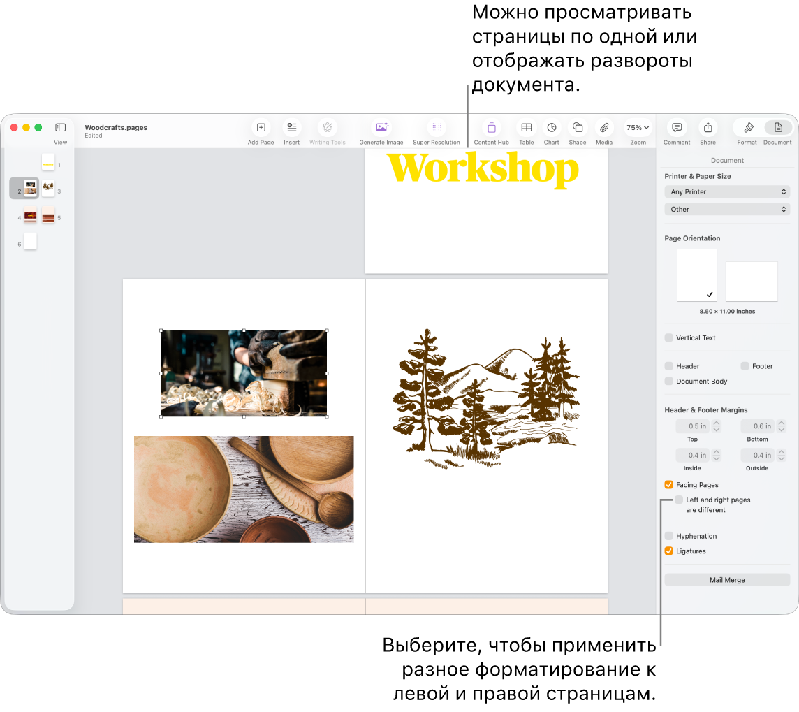 Окно Pages с миниатюрами страниц и страницами документов, открытых в виде разворотов на две страницы. Справа, в боковом меню «Документ», не установлен флажок «Разные поля на левой и правой страницах».