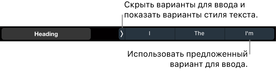 Панель Touch Bar на MacBook Pro. Отображаются элементы управления для выбора стиля текста, скрытия подсказок при вводе и вставки подсказок при вводе.