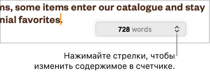 Меню подсчета слов с информацией о количестве слов в документе.