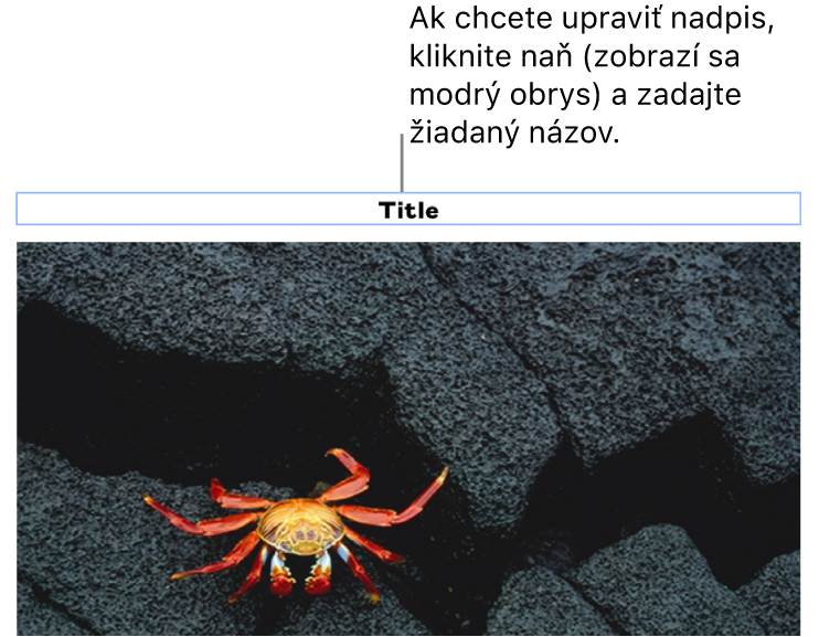 Pod fotkou sa zobrazí vzorový názov „Názov“. Okolo poľa názvu sa zobrazí modrý obrys, čo znamená, že je označený.