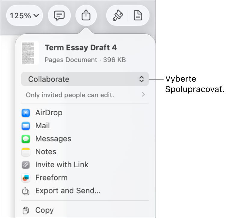 Menu Zdieľať s vybranou možnosťou Spolupracovať navrchu a pod ňou sa nachádzajú nastavenia prístupu a povolení.