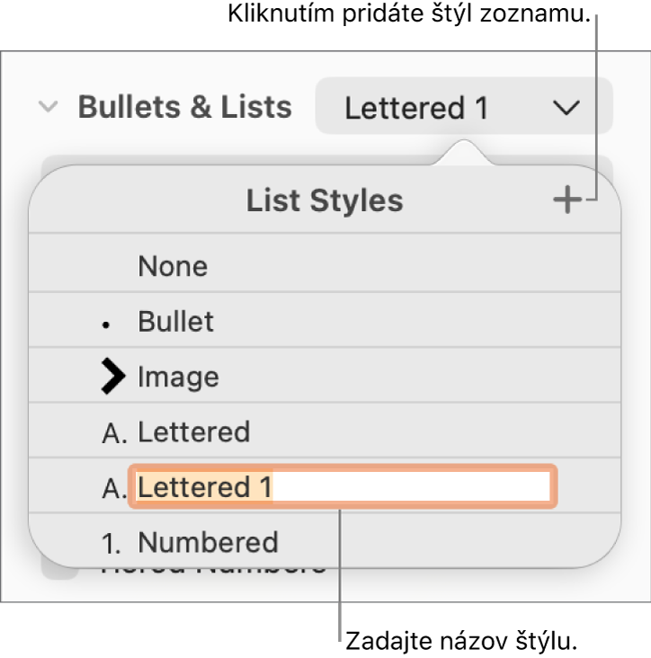 Vyskakovacie menu Štýly zoznamu s tlačidlom Pridať v pravom hornom rohu a názvom vzorového štýlu s označeným textom.